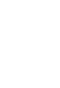 Digit 2 mask